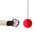 gid://shopify/MediaImage/33701407162608