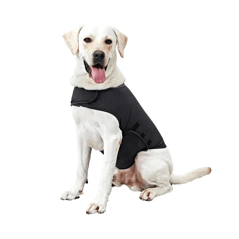 gid://shopify/MediaImage/33701393531120