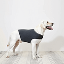 gid://shopify/MediaImage/33701393596656