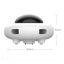 gid://shopify/MediaImage/33701389533424