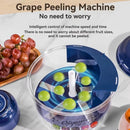 Automatic Fruit and Vegetable Peeler Machine
